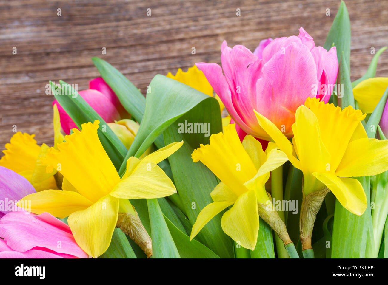 bouquet of tulips and daffodils Stock Photo - Alamy