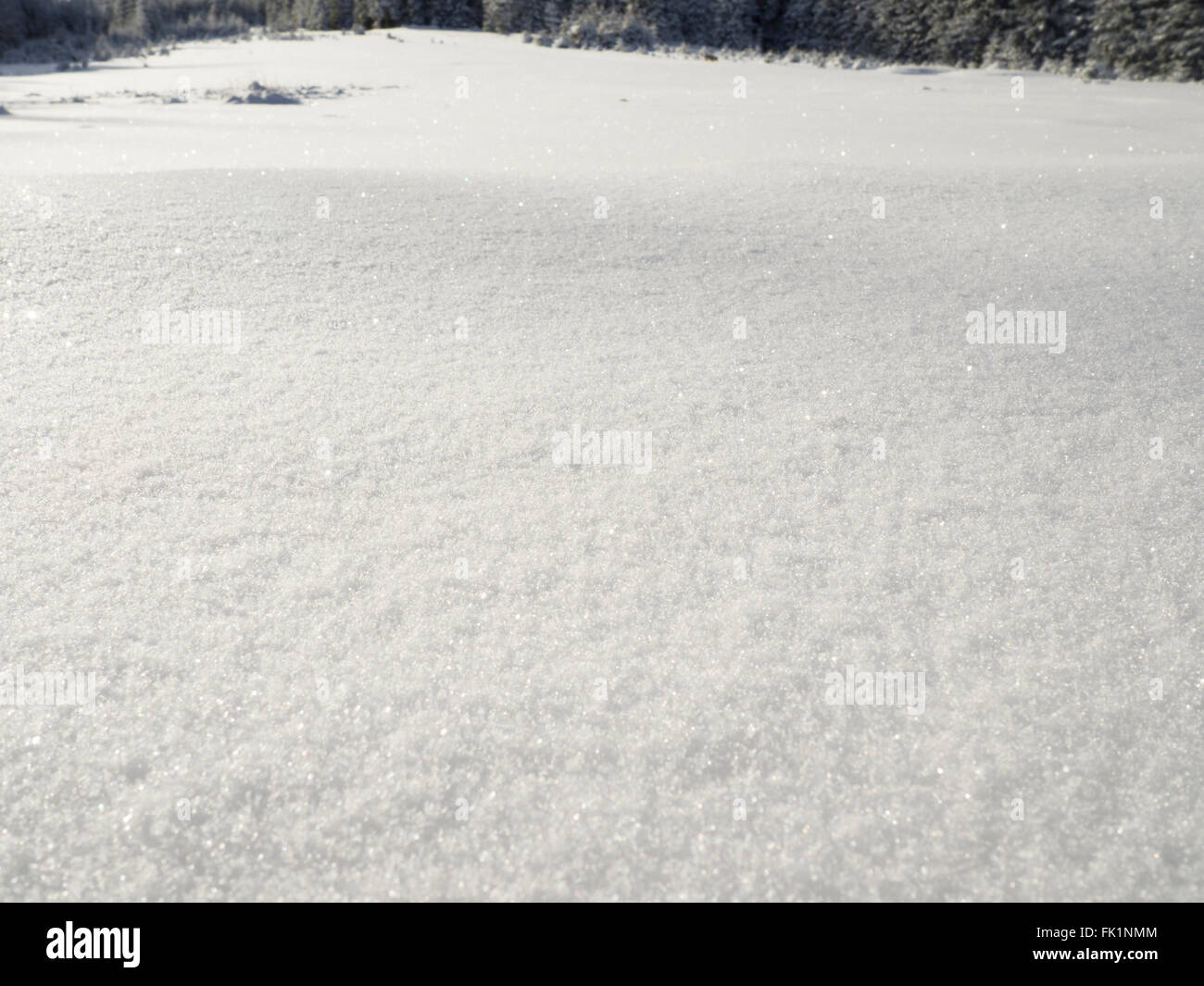Ice freeze hi-res stock photography and images - Alamy