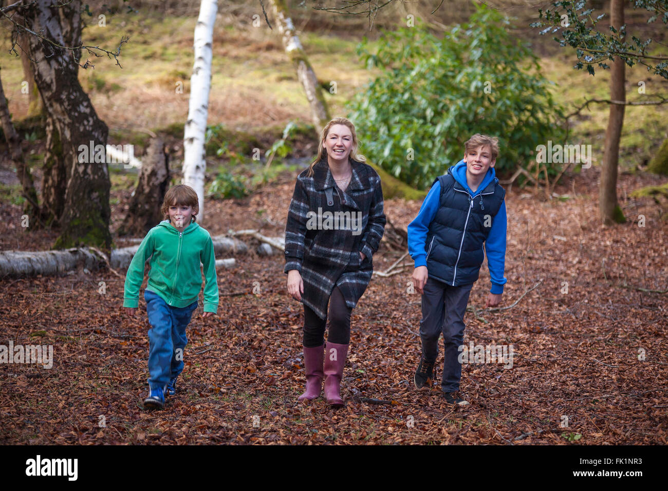 Woman and male children, mother and two sons family walking in trees of woods or forest Stock Photo