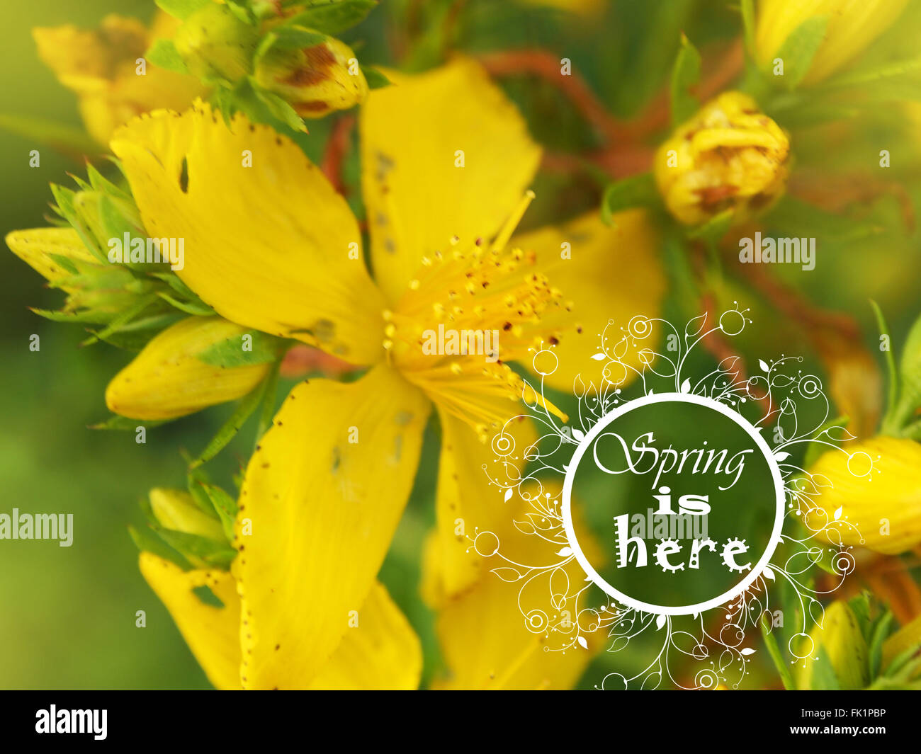 spring is here Stock Photo - Alamy