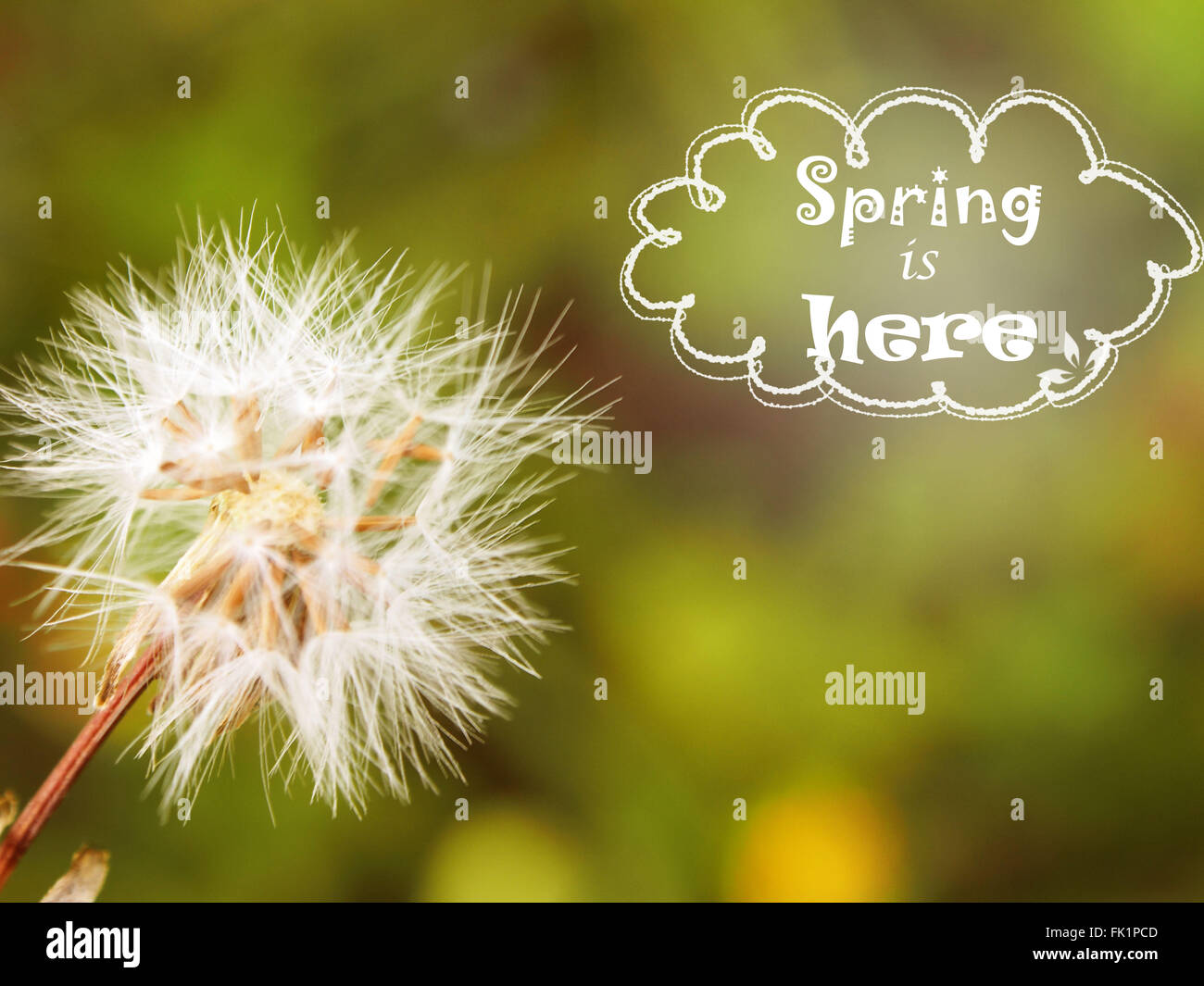 Weed here hi-res stock photography and images - Alamy