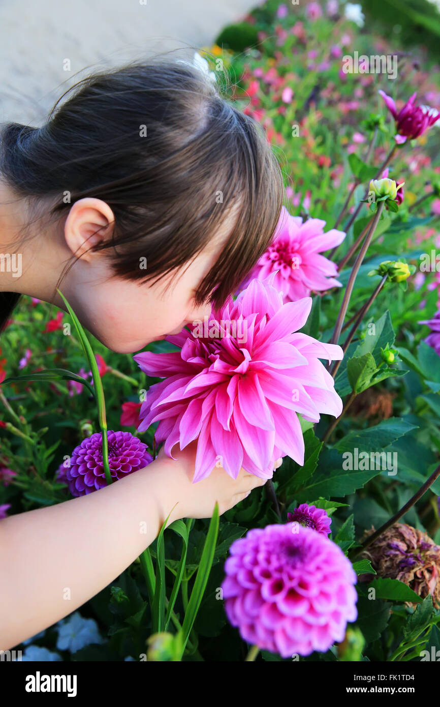 Little girl enjoy with the flowers Stock Photo