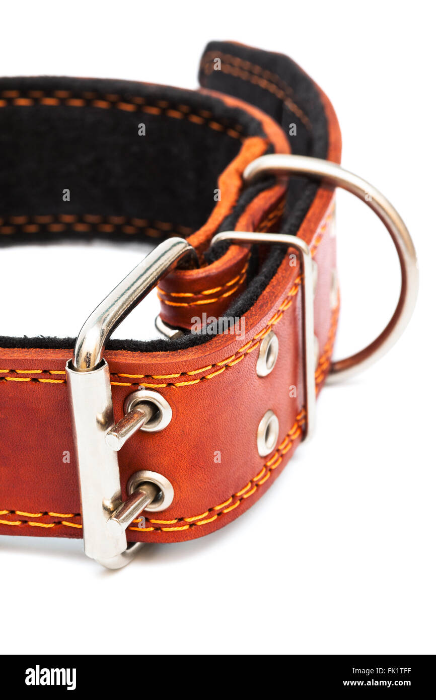 Leather dog collar on a white background Stock Photo