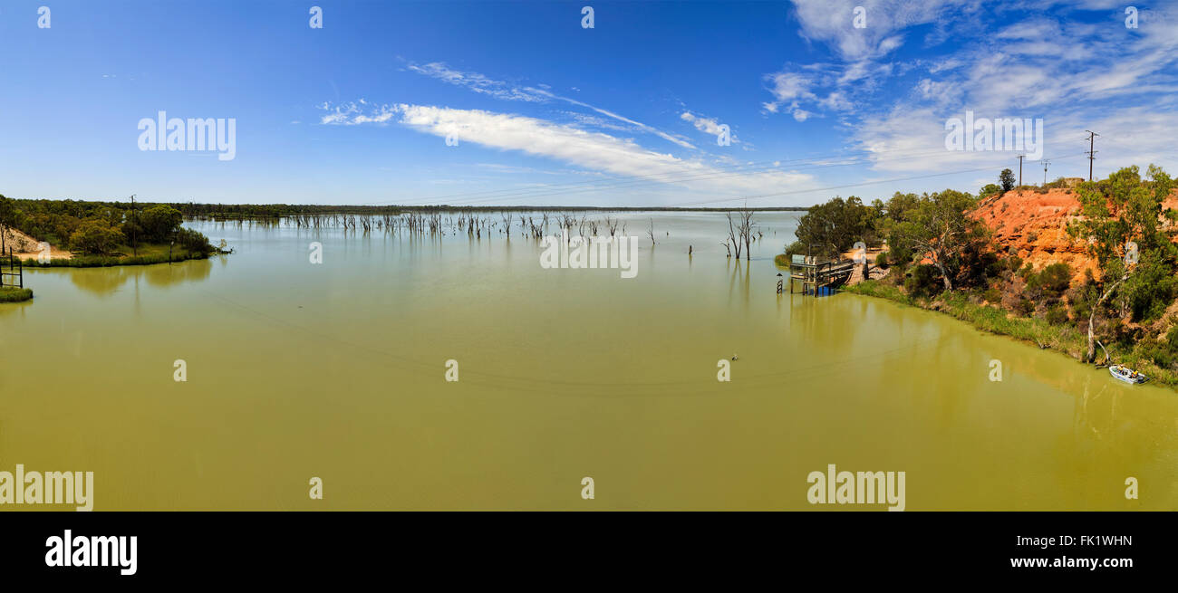 wide panorama of Murray river bending between red soil stone cliffs flooding woods and bringing dead trees with pelican birds. Stock Photo