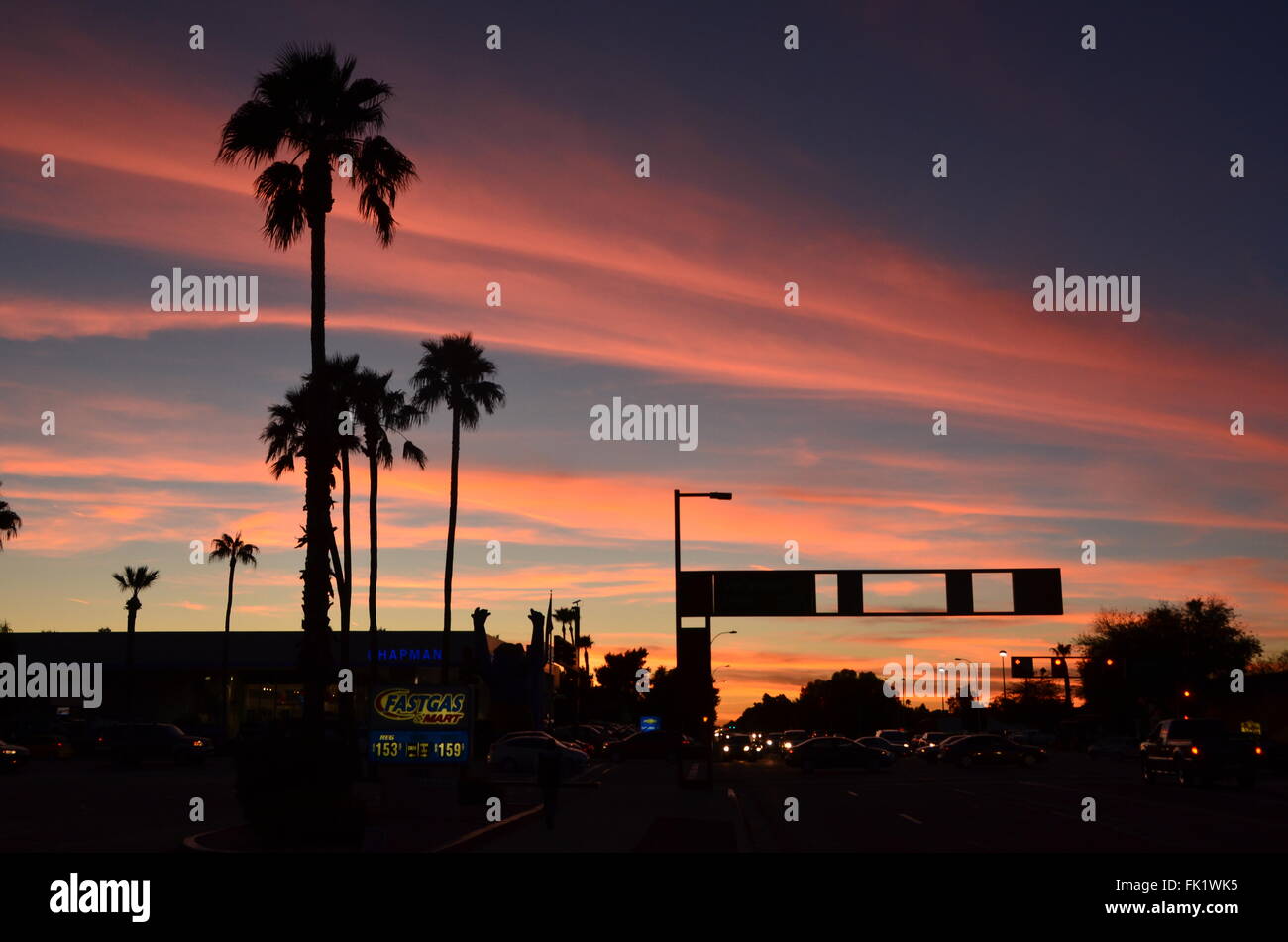 phoenix sunset palm trees pink cloud blue sky arizona Stock Photo