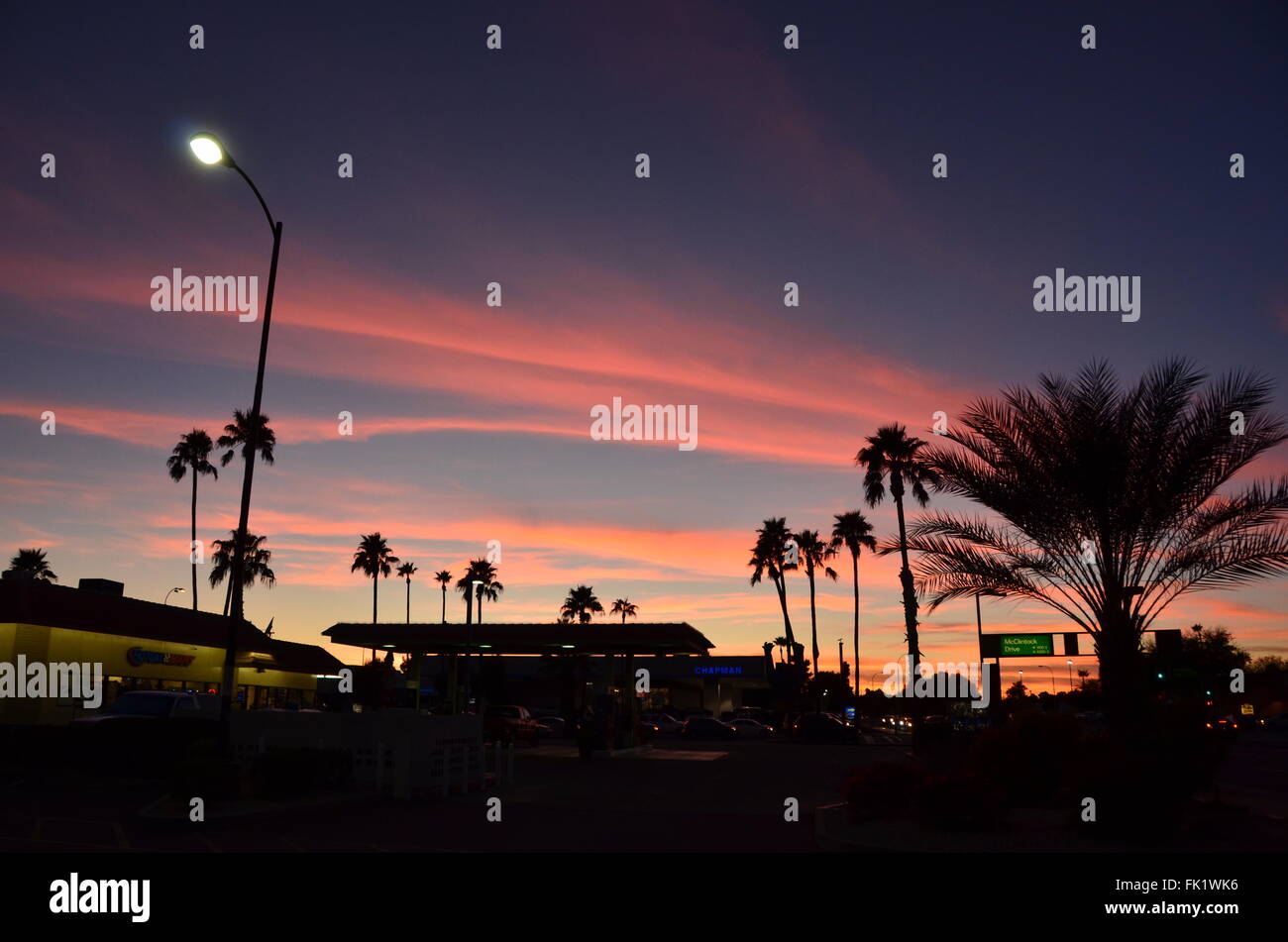 phoenix sunset palm trees pink cloud blue sky arizona Stock Photo
