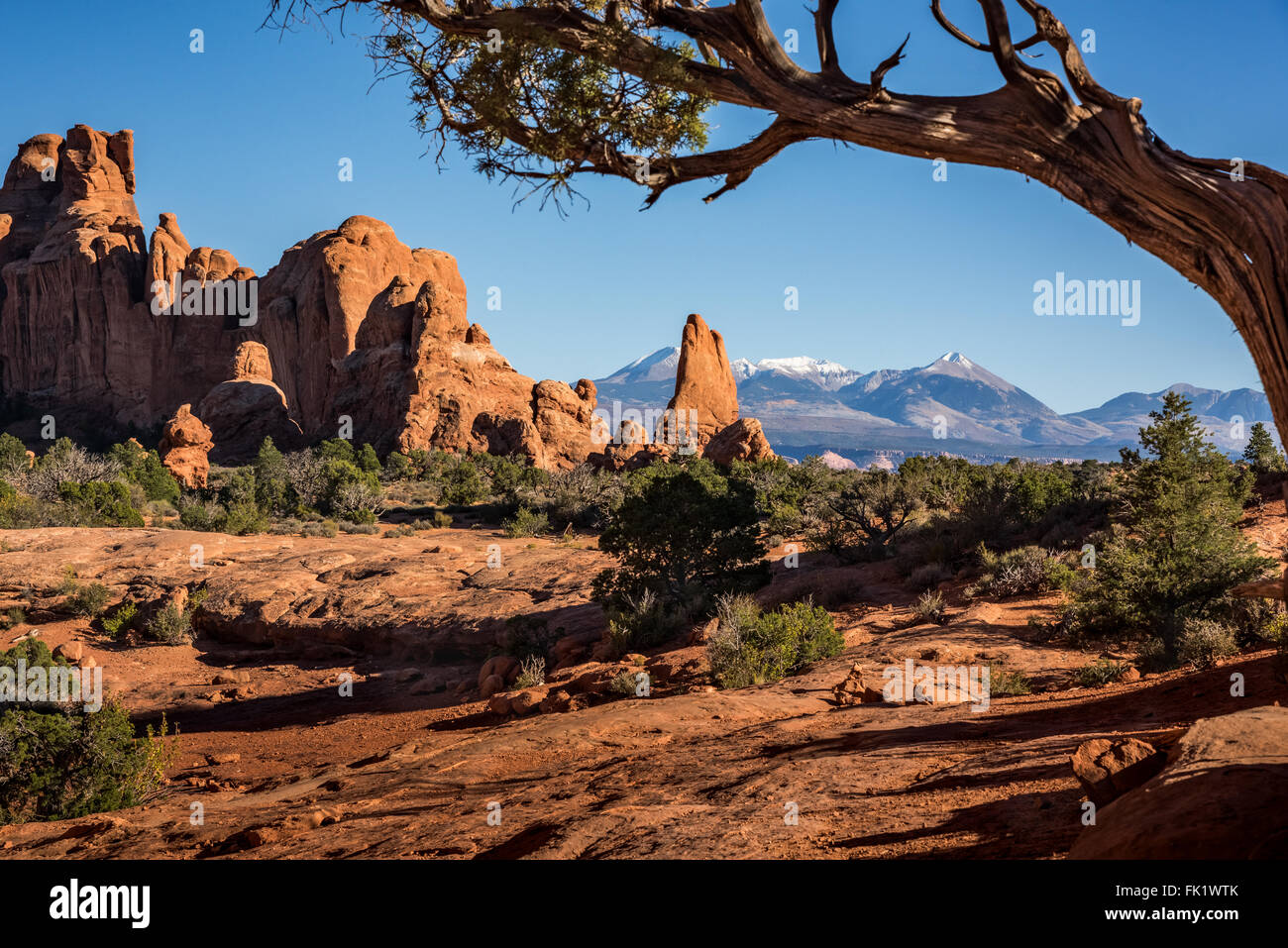 Arches National Park is a landscape of contrasting colors, landforms and textures. Stock Photo