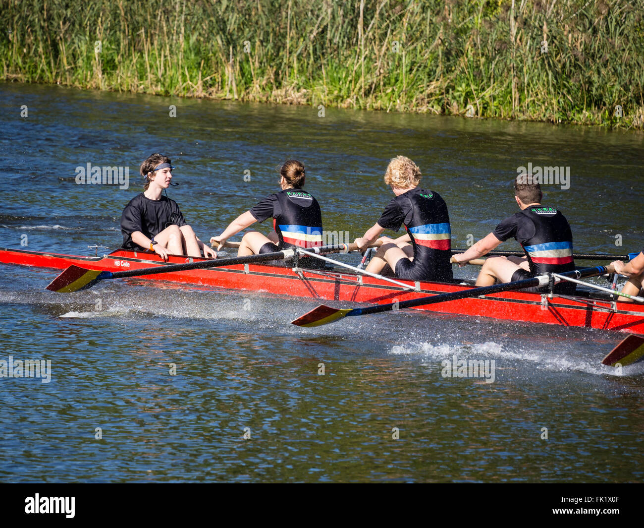 Rowing boat regatta hi-res stock photography and images - Alamy