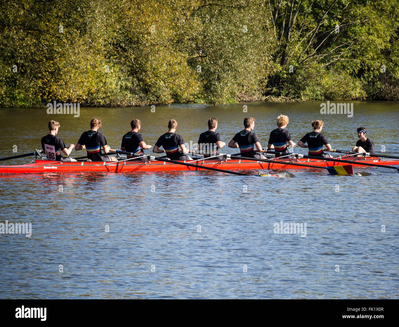 Rowing regatta, river Aller, Celle, Germany Stock Photo