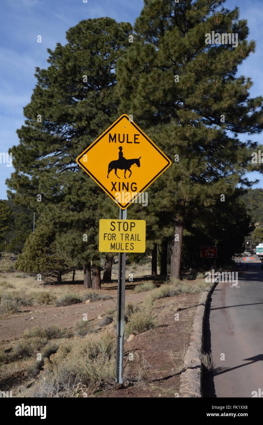 mule crossing sign grand canyon village Stock Photo