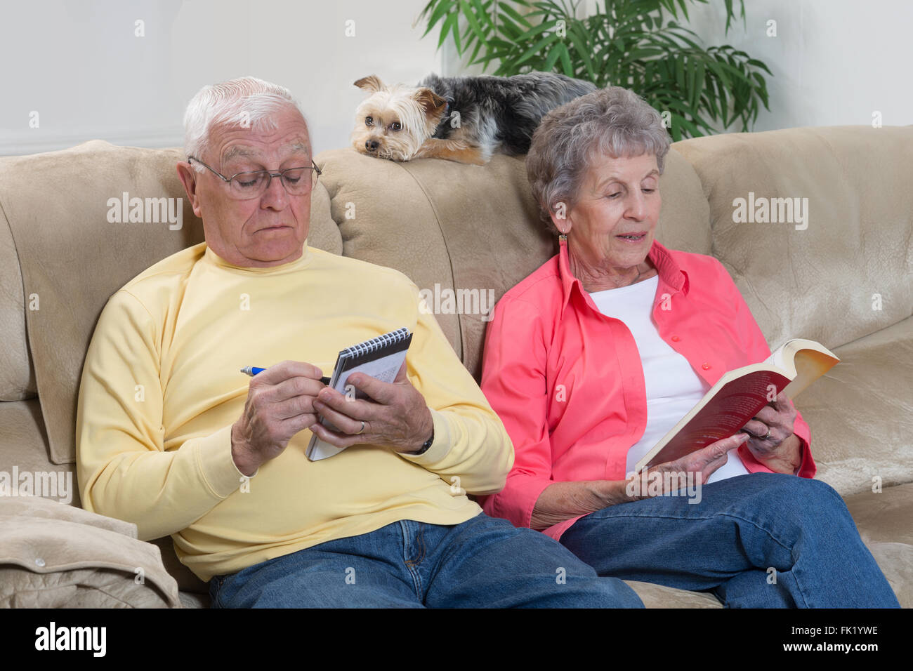 A Brussels Griffon dog is content to lie behind 'mom and dad' as they relax on their sofa. Stock Photo
