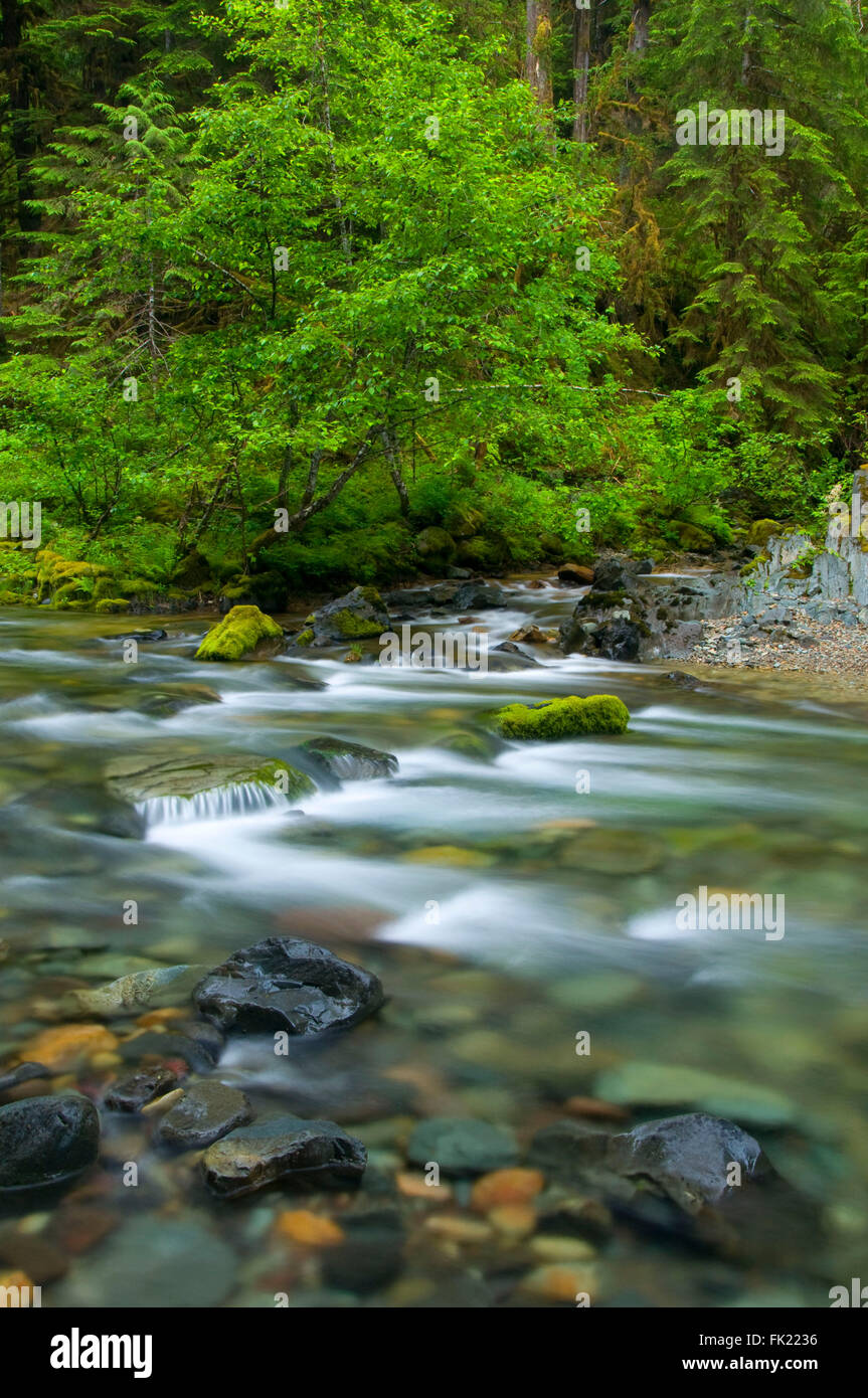 Quartzville creek national back country byway hi-res stock photography ...