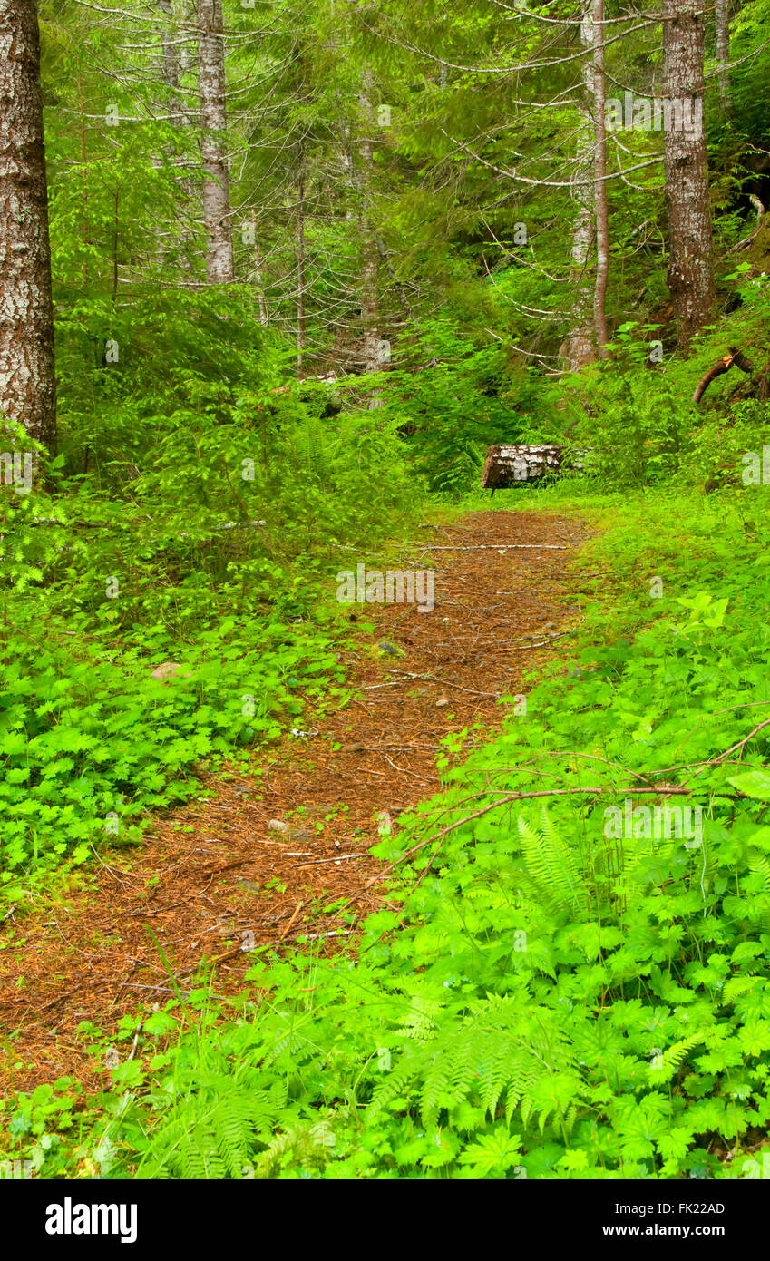 Mcquade hires stock photography and images Alamy