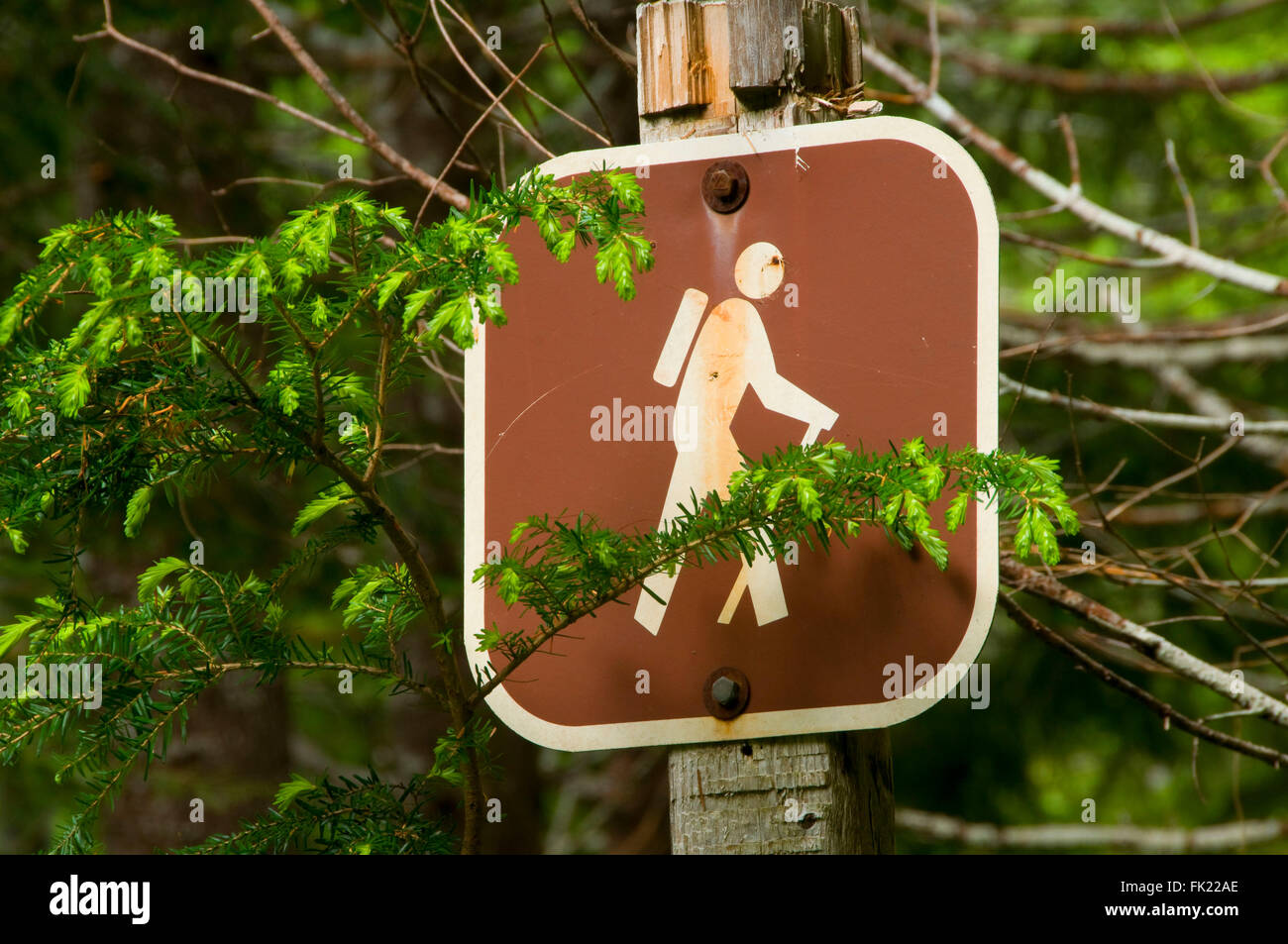 Hiking sign on McQuade Creek Trail, Willamette National Forest, Oregon Stock Photo