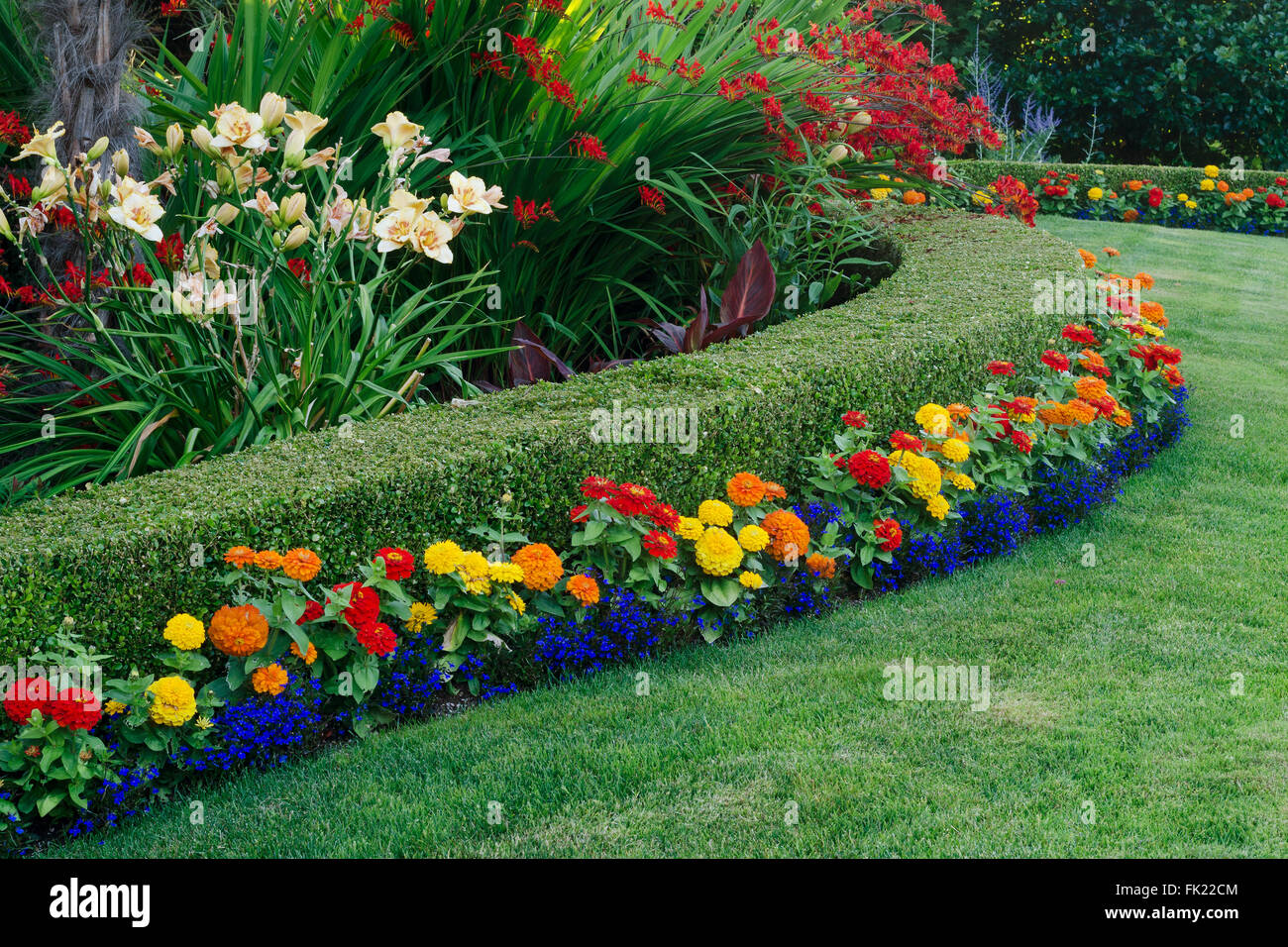 A beautiful garden display featuring a curved boxwood hedge surrounded by a variety of colorful flowers. Stock Photo