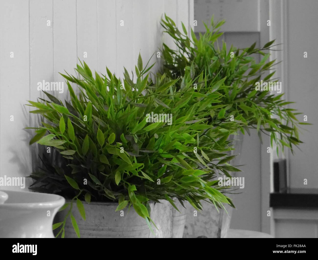 Greenery (colour filter Stock Photo - Alamy