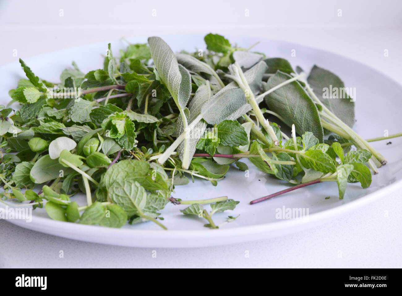 Kitchen Herbs on a plate Stock Photo