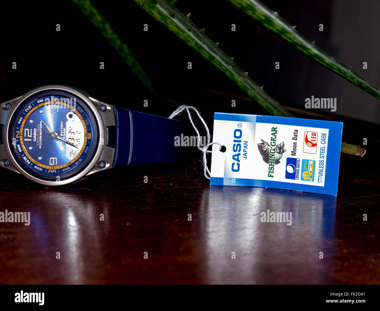 GOMEL BELARUS FEBRUARY 13 2016 The Japanese watch Casio Fishing Gear 10 Years Battery AW 82 1AVDF. Casio Computer Company Stock Photo Alamy