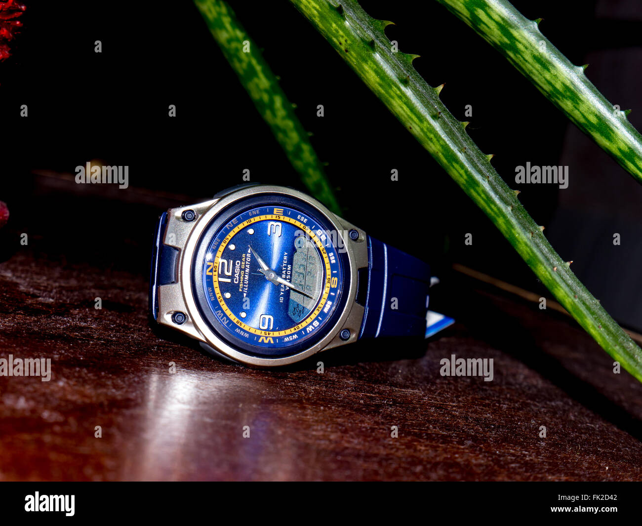 GOMEL, BELARUS - FEBRUARY 13, 2016: The Japanese watch Casio Fishing Gear  10 Years Battery AW-82-1AVDF. Casio Computer Company Stock Photo - Alamy