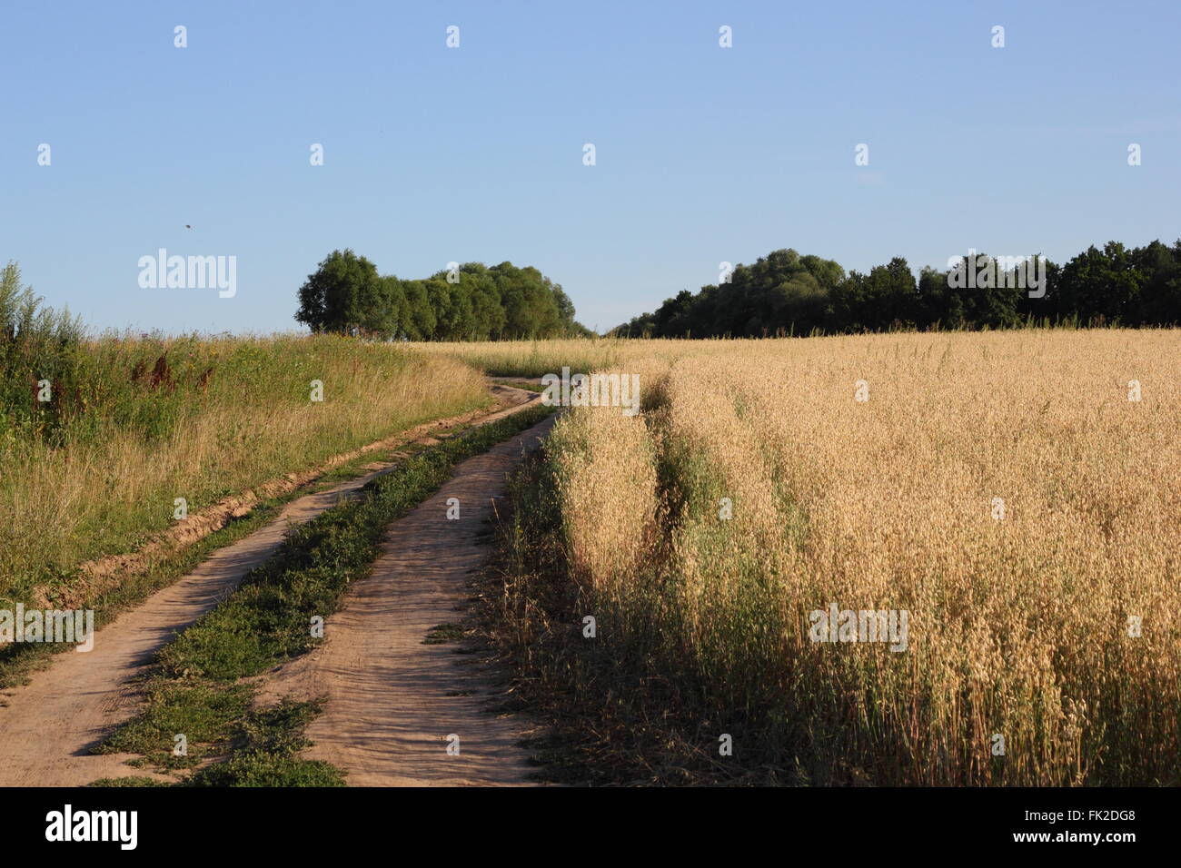 Rural way on the edge of a field photo Stock Photo - Alamy