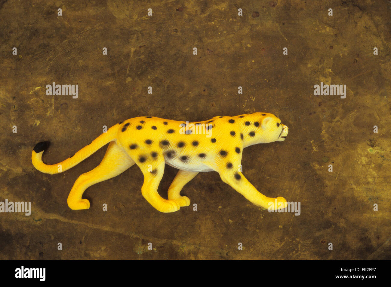 Plastic model of yellow cheetah with black spots in stalking position and lying on tarnished brass Stock Photo
