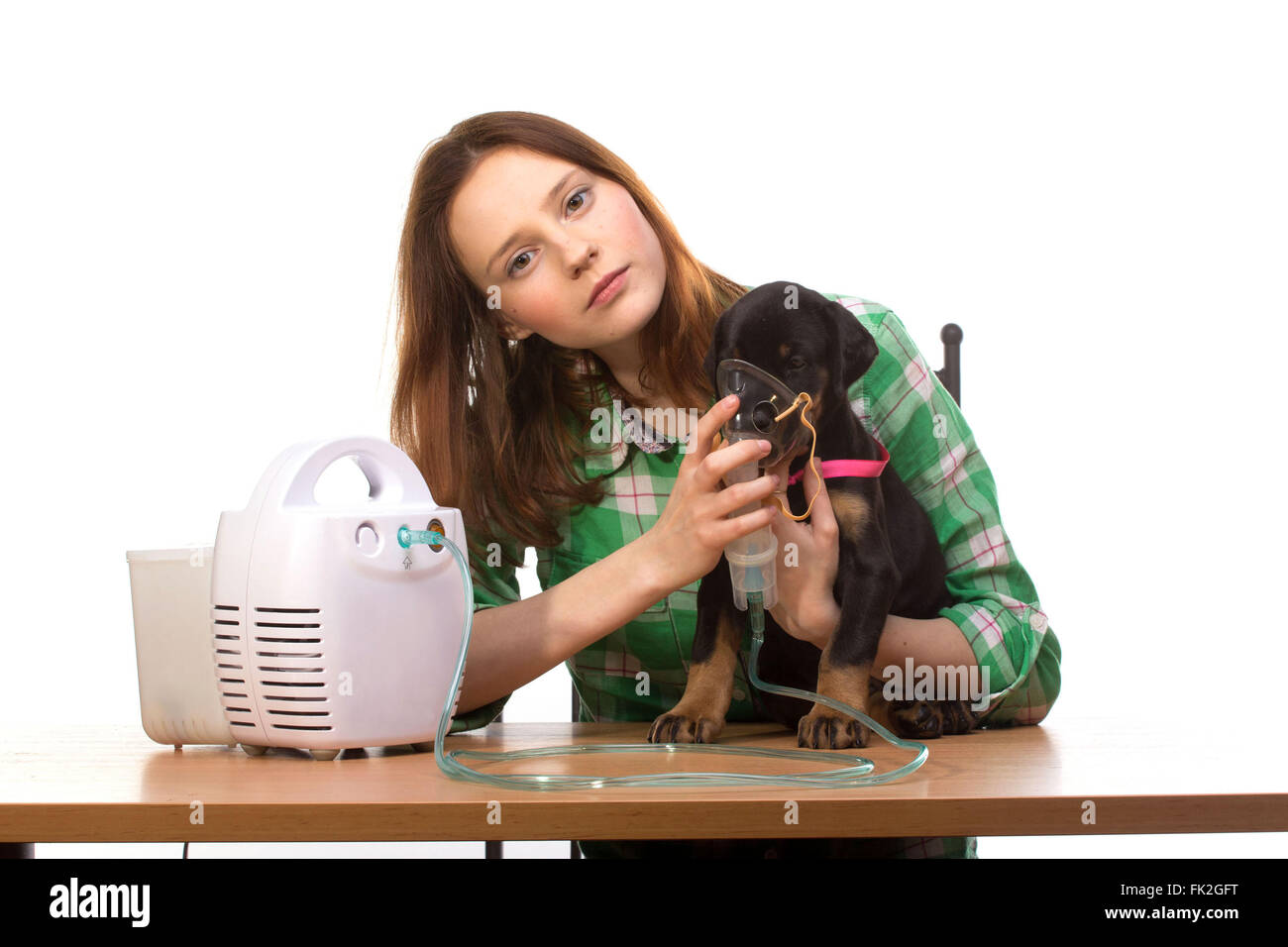 Young woman using nebulizer mask for respiratory inhaler dog Treatment isolated on a white background Stock Photo - Alamy Young woman using nebulizer mask for respiratory inhaler dog Treatment isolated on a white background Stock Photo - Alamy