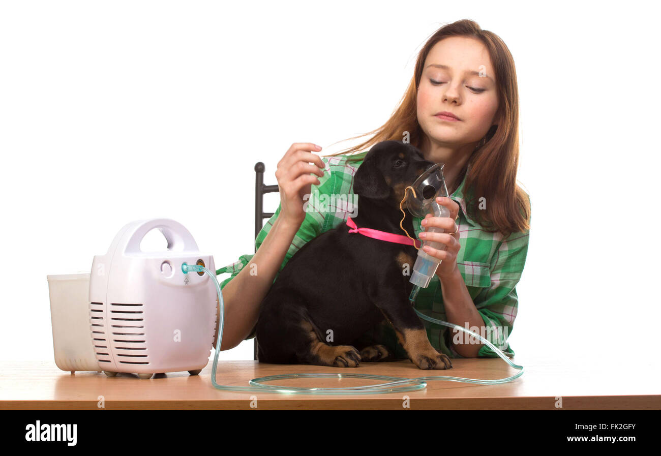 can you give a dog a nebulizer treatment