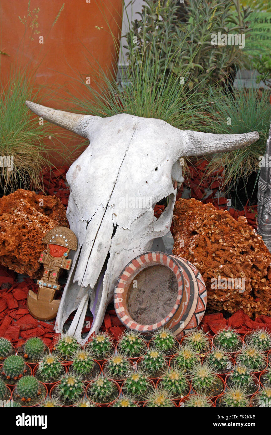 Cow skull as a decorative element in the garden Stock Photo