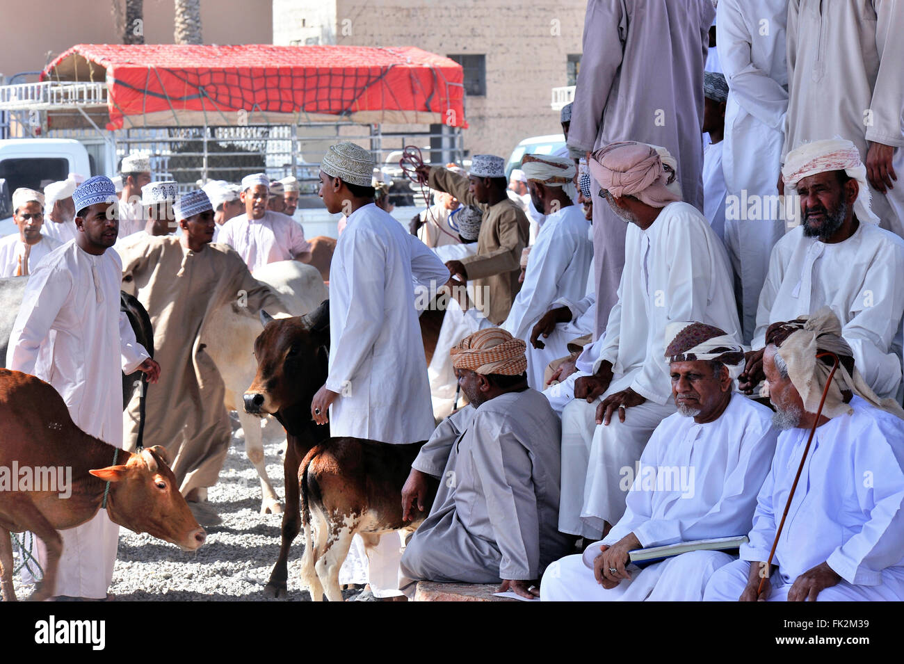Cattle Market in Nizwa, Oman Stock Photo