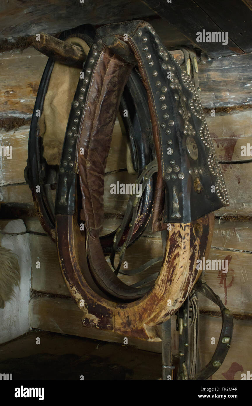 Old horse harness on the wall Stock Photo Alamy