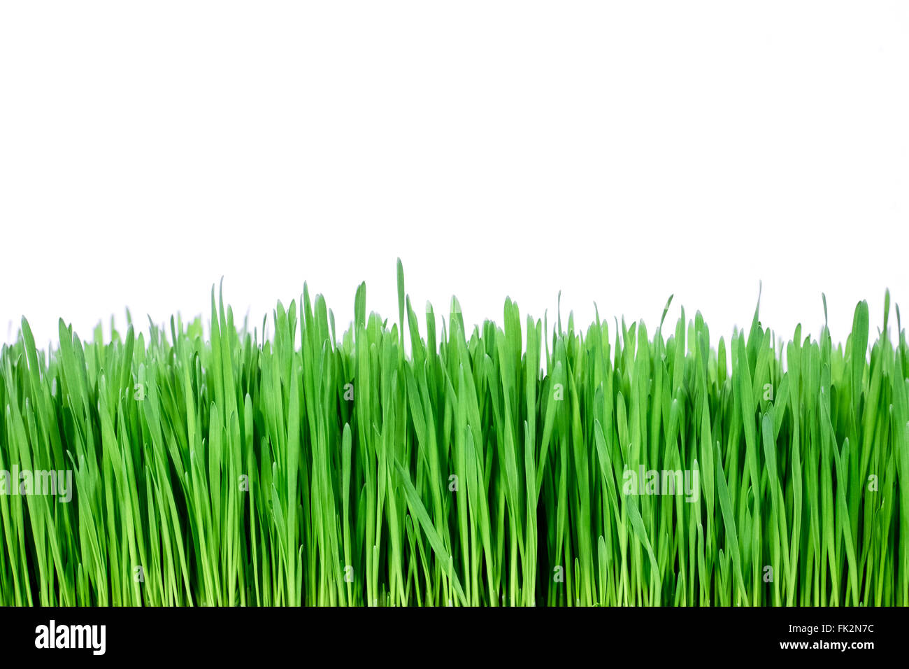Grass cross section hi-res stock photography and images - Alamy