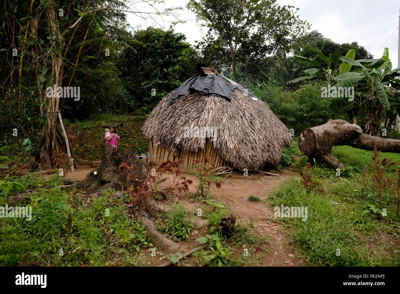 Straw huts of the Ngabe & Bugle native ethnic group located in the Comarca Quebrado region, Guabo reservation in Chiriqui province Republic of Panama Stock Photo
