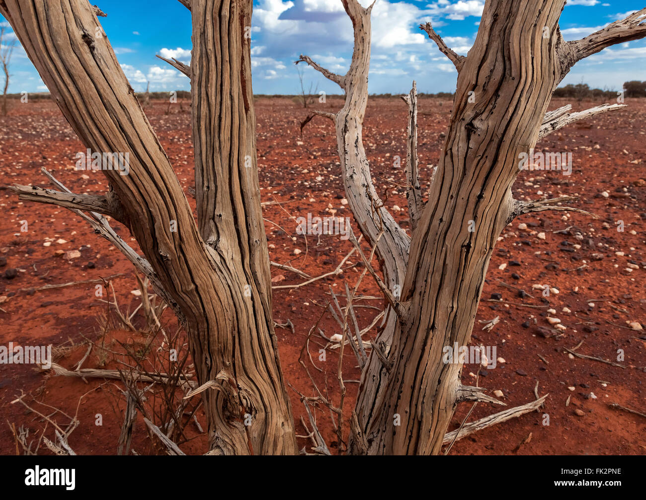 Western australia gibson desert hi-res stock photography and images - Alamy