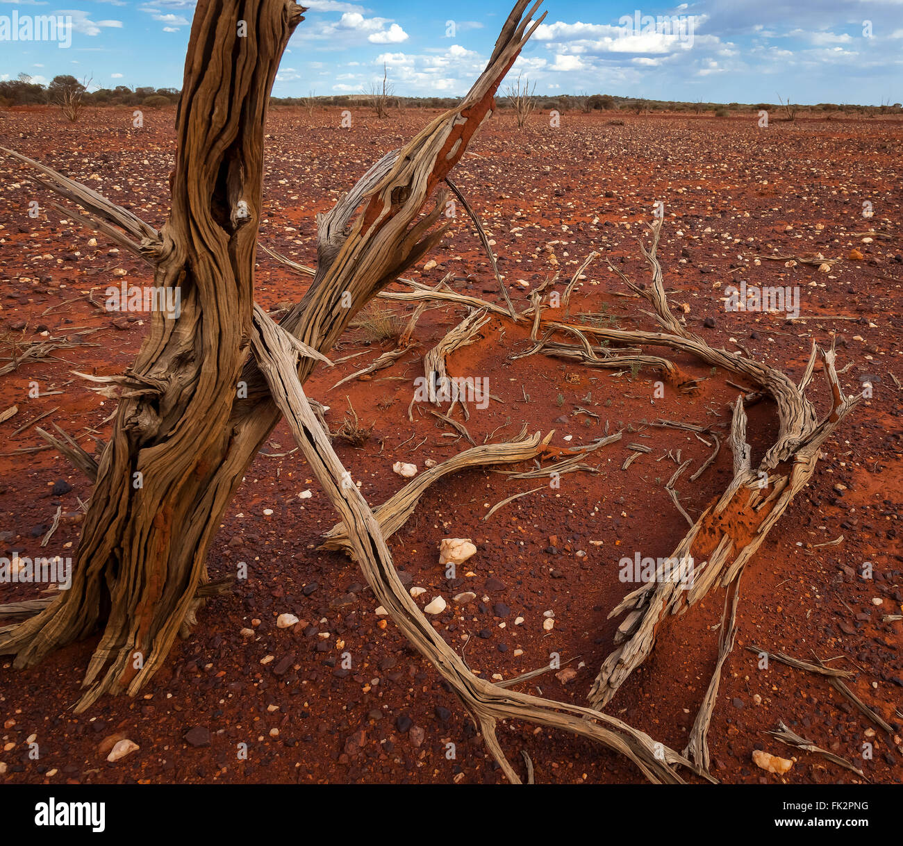 Western australia gibson desert hi-res stock photography and images - Alamy