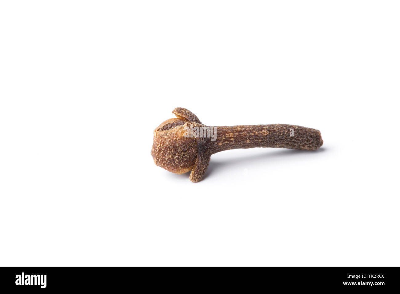 One single dried clove on white background Stock Photo
