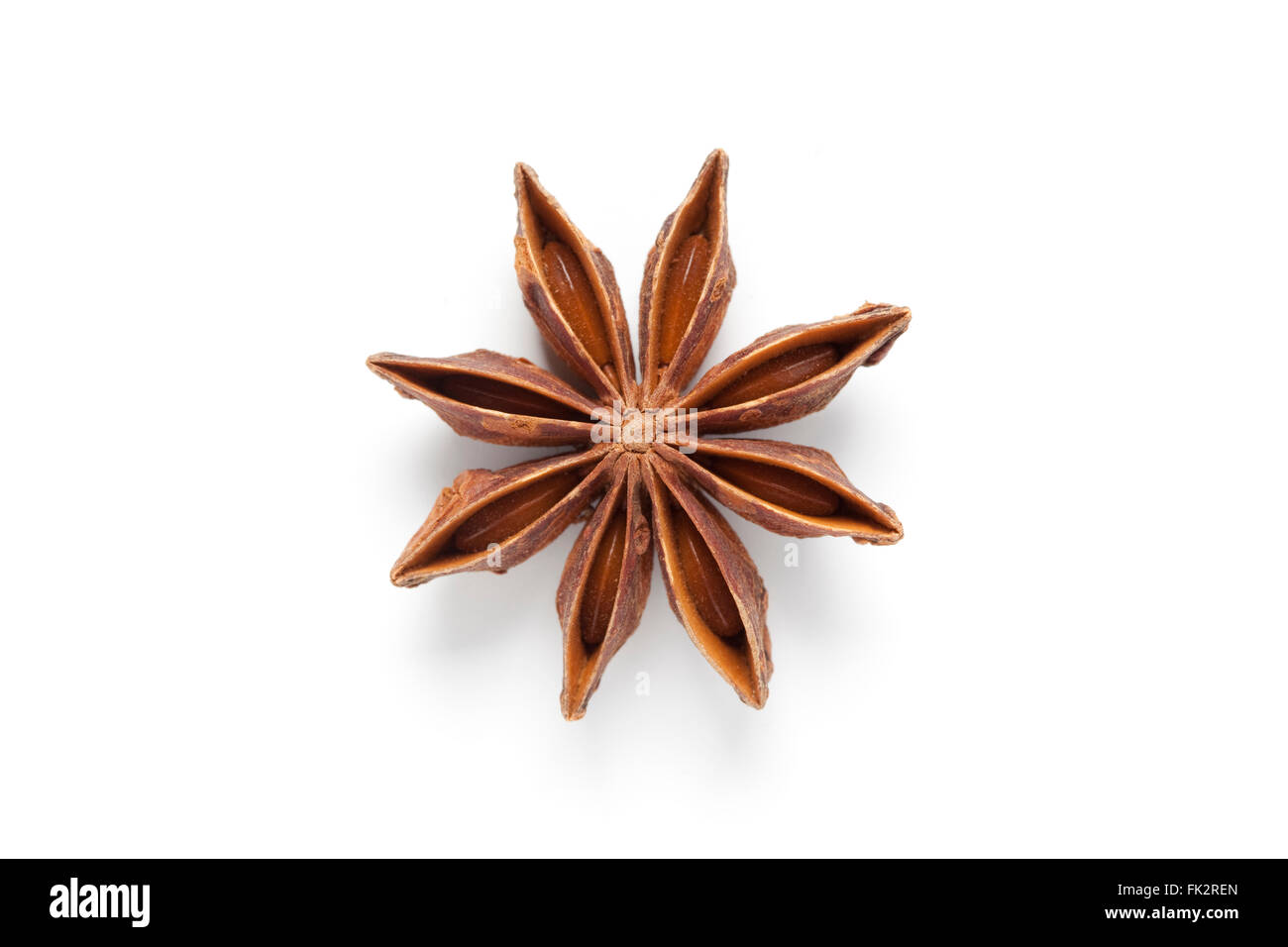 One single dried star anise on white background Stock Photo Alamy