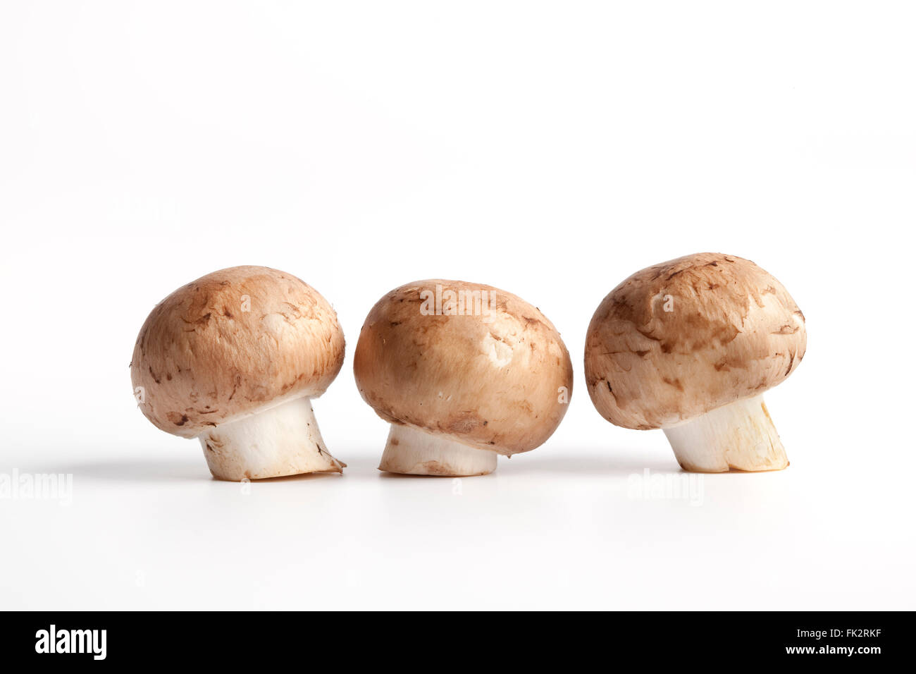 Fresh raw Chestnut mushrooms on white background Stock Photo Alamy