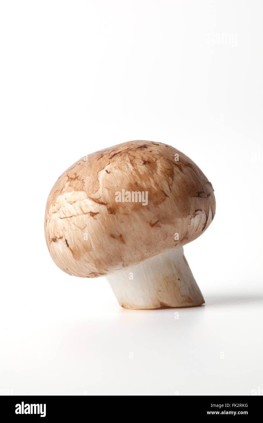Chestnut Mushroom Stock Photos & Chestnut Mushroom Stock Images Alamy