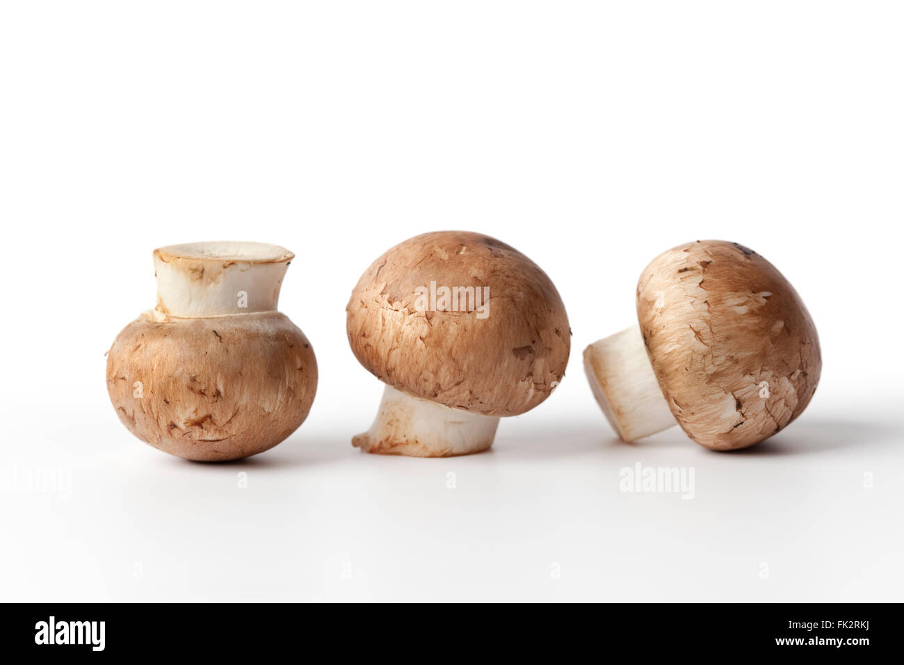 Fresh raw Chestnut mushrooms on white background Stock Photo Alamy