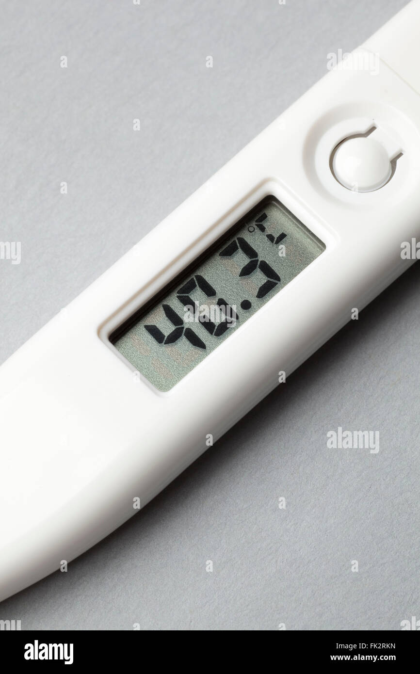 Digital Clinical Thermometer at 40.3 degrees Stock Photo