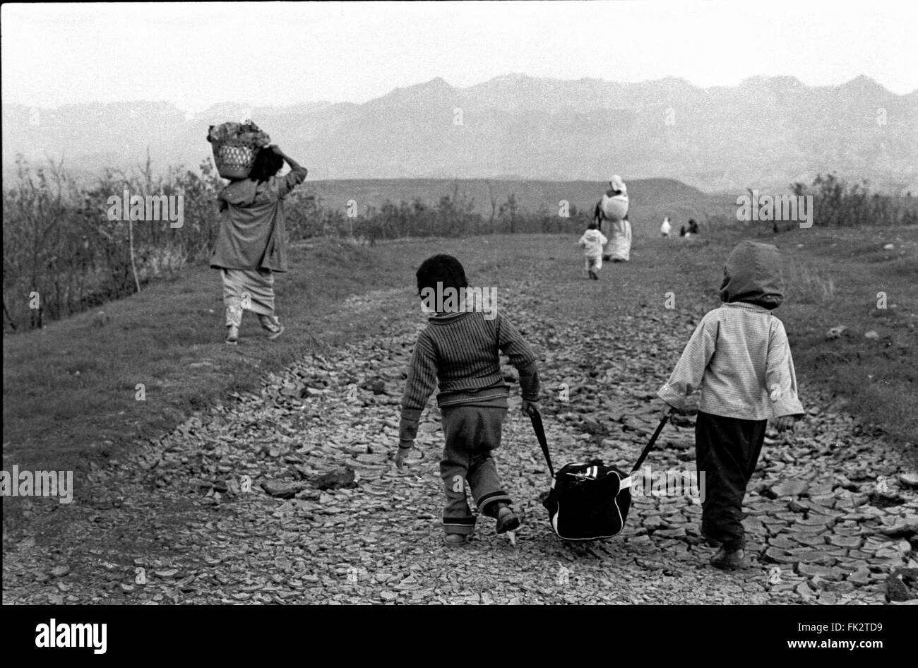 Near Zakho, northern Iraq, Kurdistan. April 1991.Kurdish children and families carry their belongings towards mountains which mark the border with Turkey. They were escaping as refugees after  the failed uprising by Kurds against forces of Saddam Hussein's government. Stock Photo