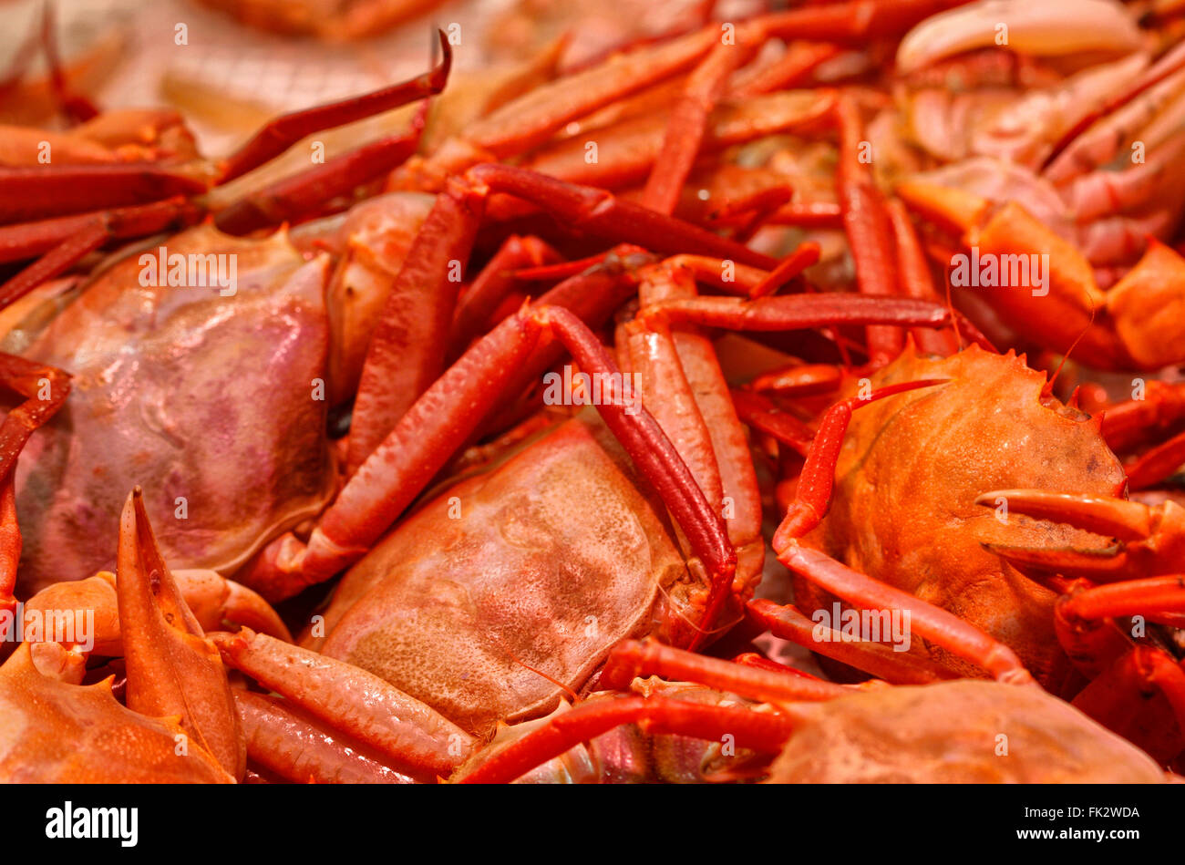 Crab acid hires stock photography and images Alamy
