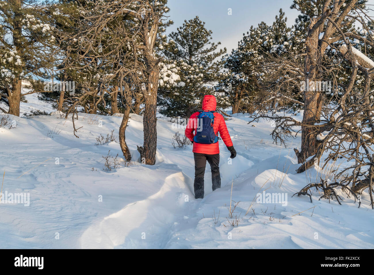 Lonely hiker on trail hi-res stock photography and images - Alamy