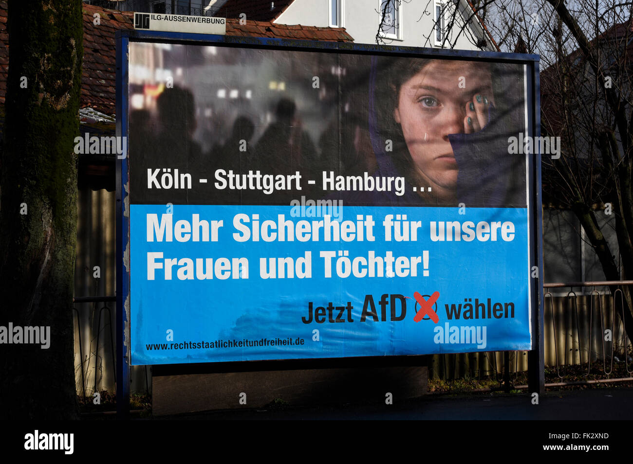 What pushed Germany to place the far-right AfD under 