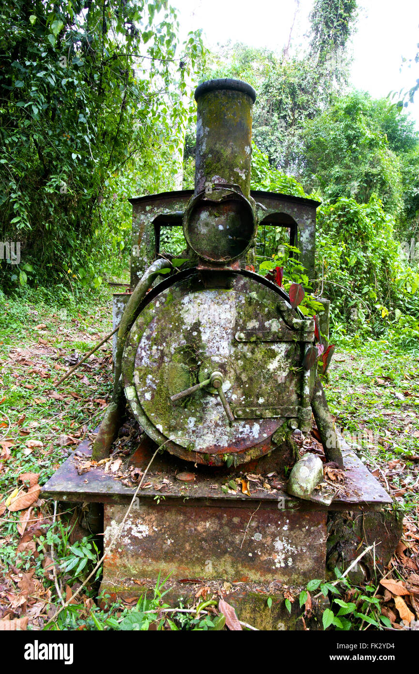 Old gold mine hires stock photography and images Alamy