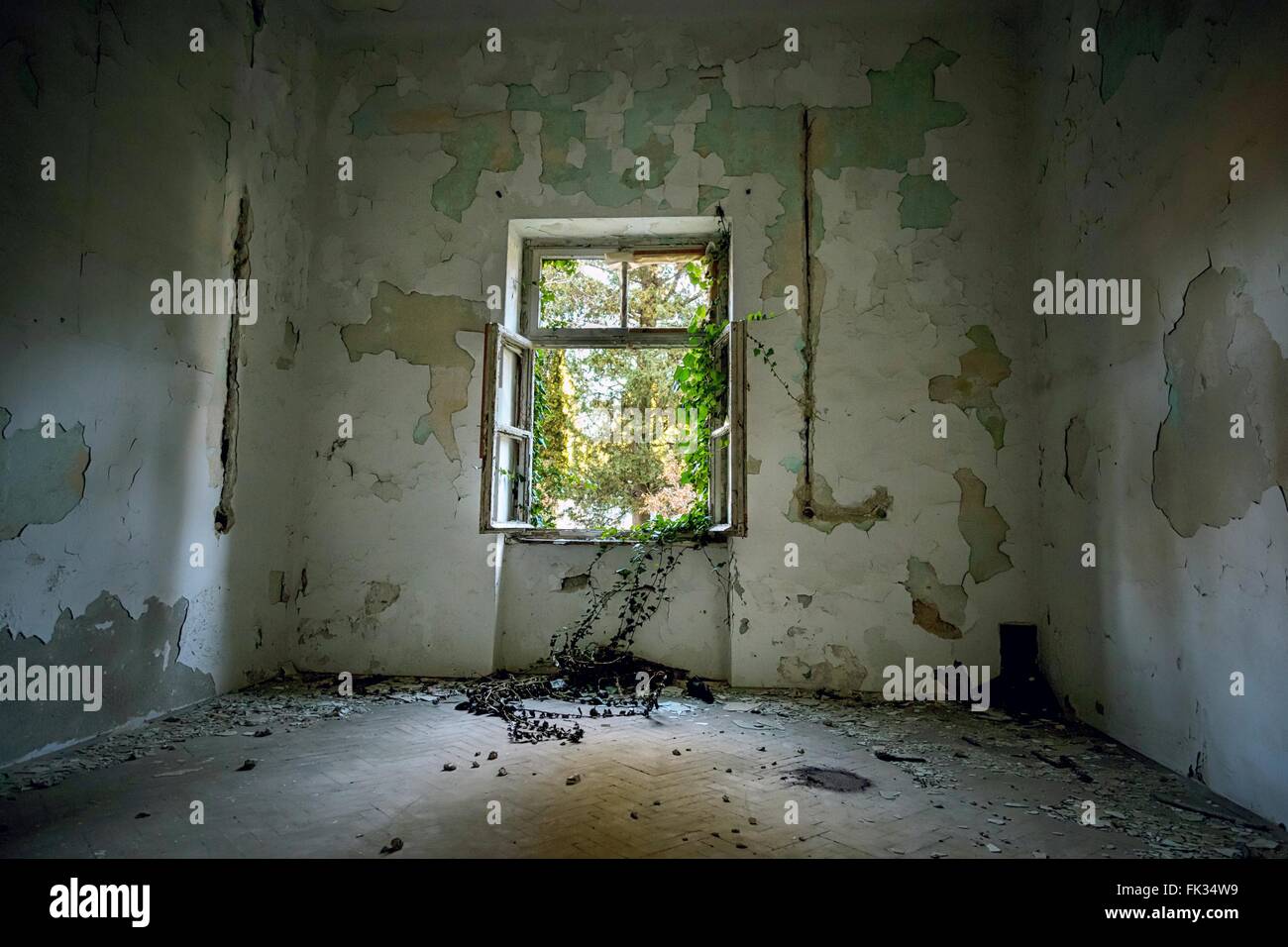 Abandoned house interior Stock Photo - Alamy