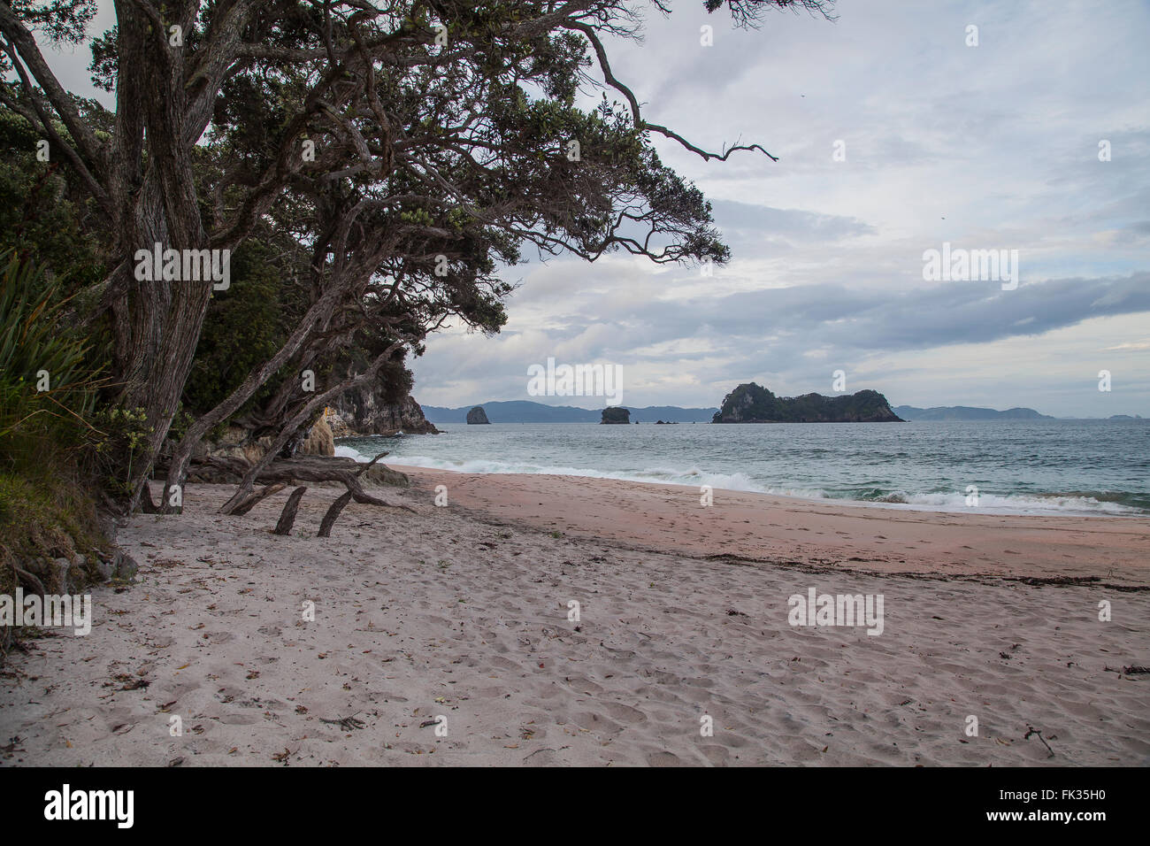 Beach at the North Island New Zealand Stock Photo