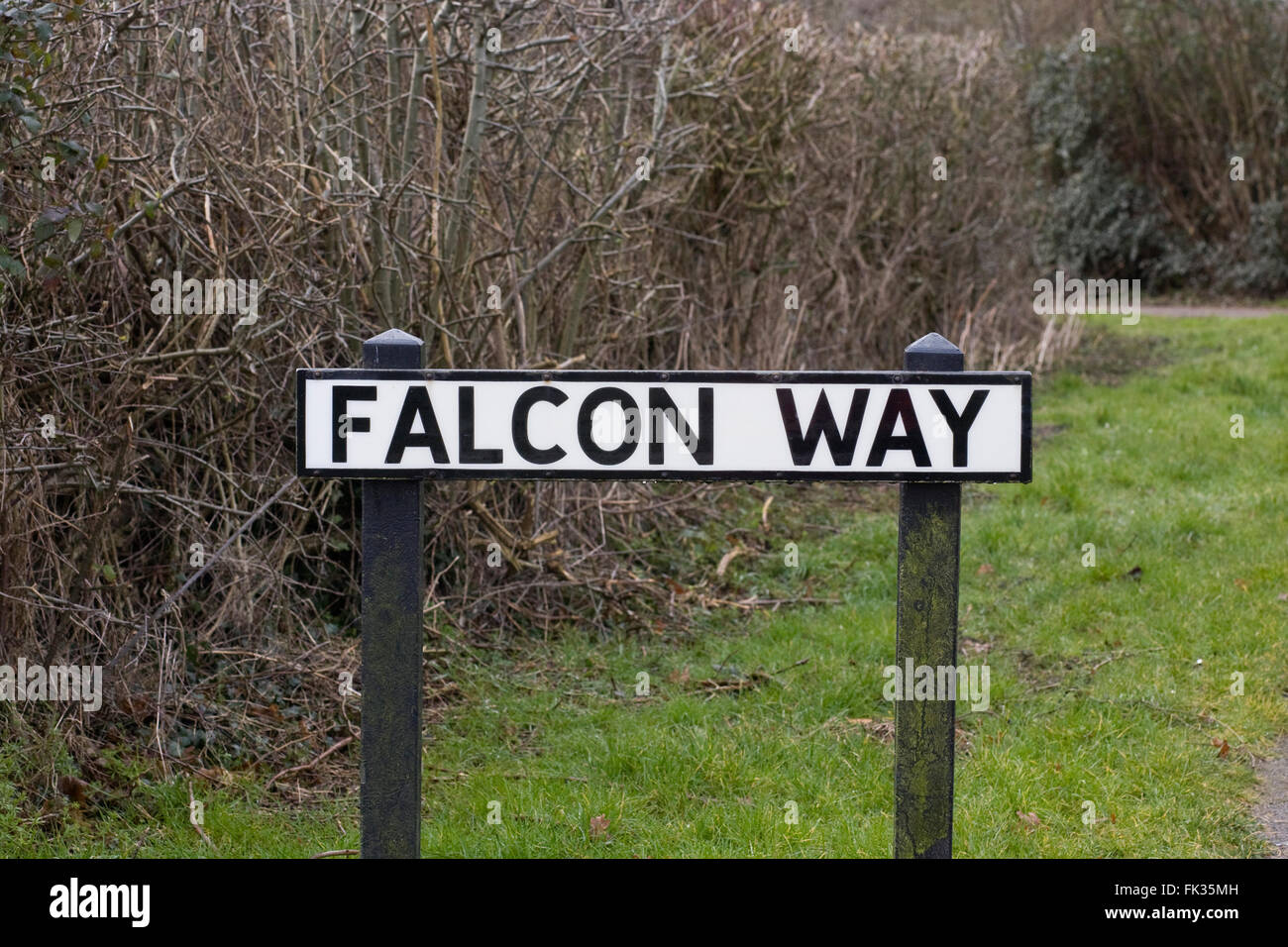 Falcon Way street name. Stock Photo