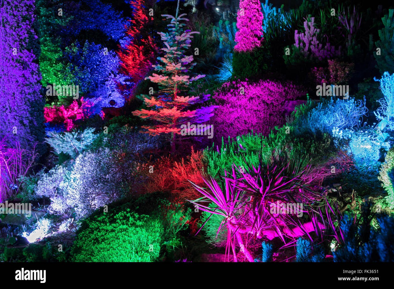 Trees and shrubs in multicoloured light in the Castle Grounds during the 'Night Light' festival, Nottingham, England, UK Stock Photo