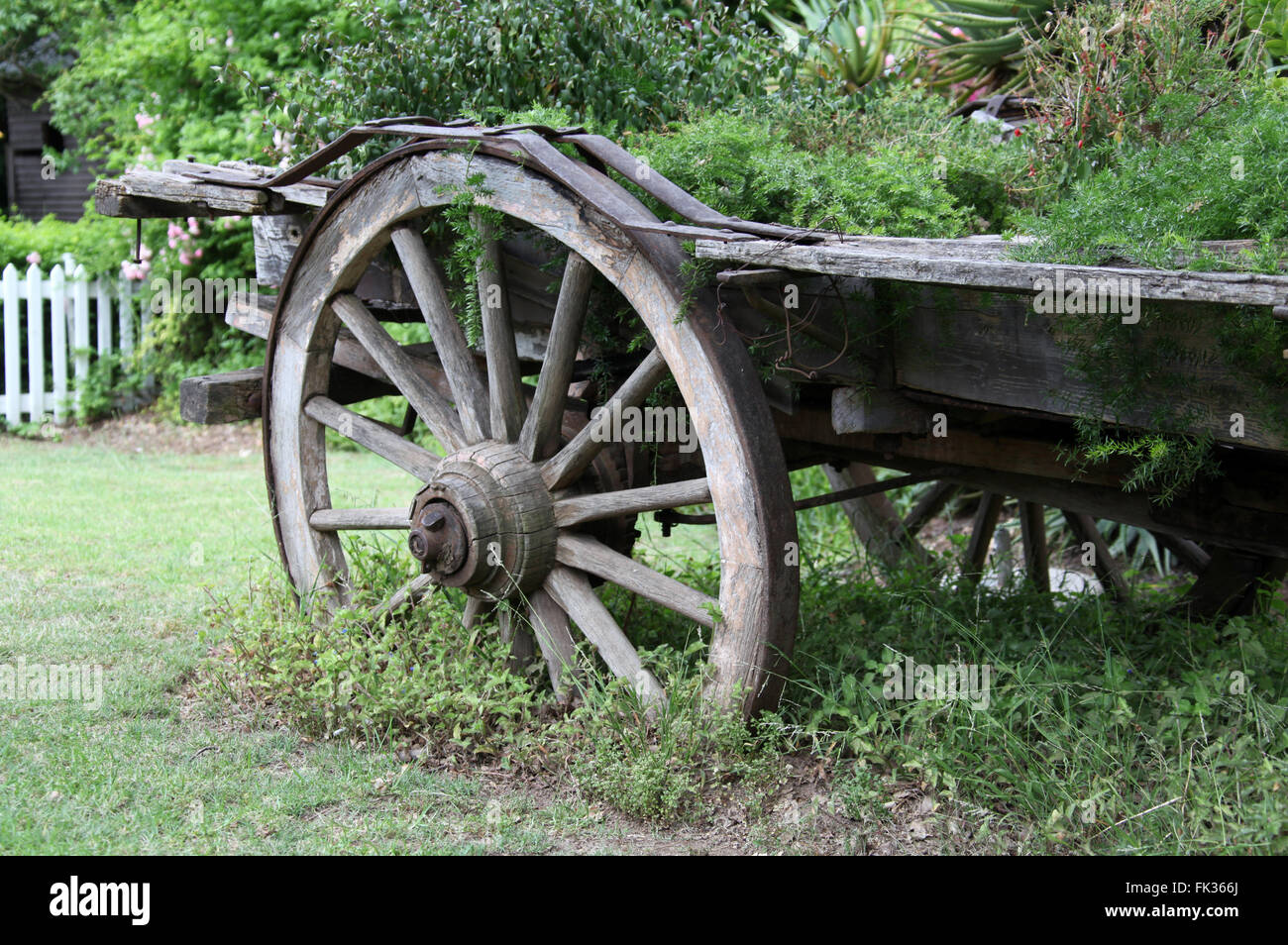 Historic wooden ox-wagon in South Africa Stock Photo
